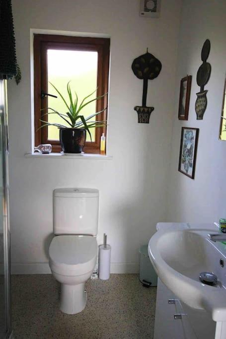 Spacious Cabin On Isolated Farm With Sea View بود المظهر الخارجي الصورة